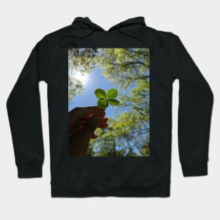 Four Leaf Clover with the Treetops Photographic Image Hoodie